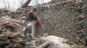 23 Dokončení vyřezání náletových dřevin ve farním areálu ve Svatoboru       